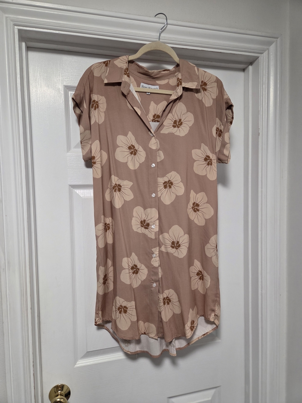 Button-Down Shirt Dress in Blush